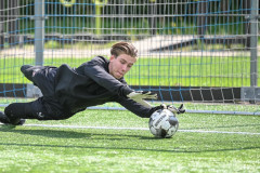 13training 13training